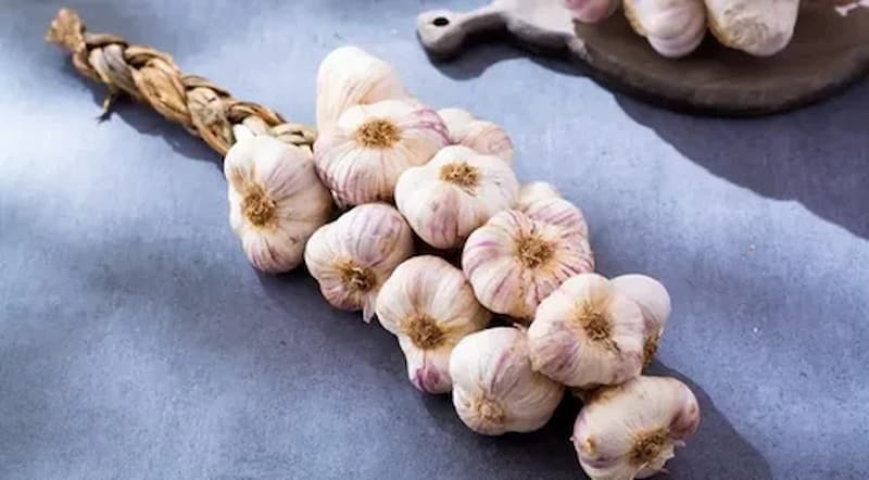 تصویر 1 از سیر فارس کوهستانی با عطر طبیعی و بافتی عالی